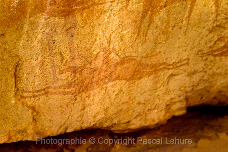 EJ9C4424_FICSA 2016_Pascal_Lahure.JPG